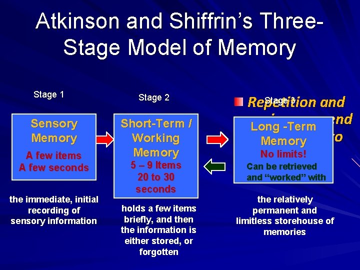 Atkinson and Shiffrin’s Three. Stage Model of Memory Stage 1 Sensory Memory A few