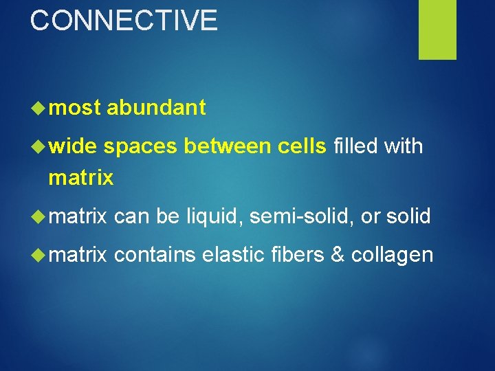 CONNECTIVE most abundant wide spaces between cells filled with matrix can be liquid, semi-solid,