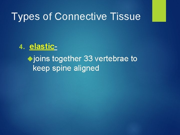 Types of Connective Tissue 4. elastic- joins together 33 vertebrae to keep spine aligned