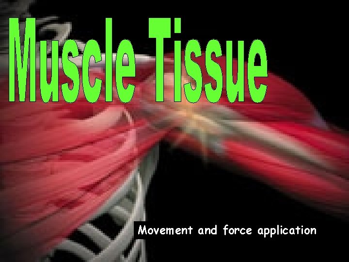 Movement and force application 