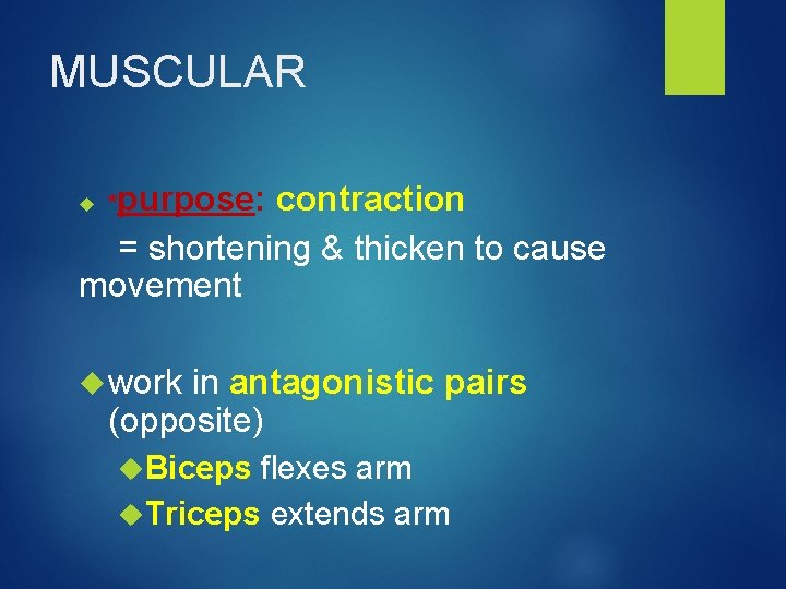 MUSCULAR purpose: contraction = shortening & thicken to cause movement * work in antagonistic