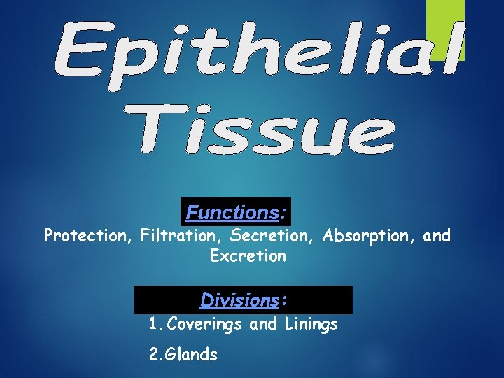 Functions: Protection, Filtration, Secretion, Absorption, and Excretion Divisions: 1. Coverings and Linings 2. Glands