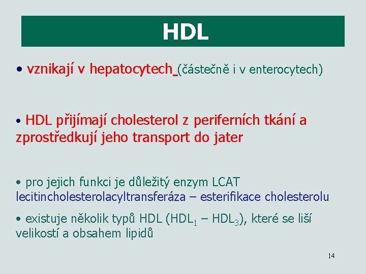 HDL • vznikají v hepatocytech (částečně i v enterocytech) • HDL přijímají cholesterol z