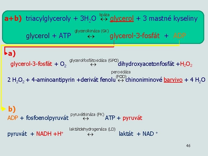 lipáza a+b) triacylglyceroly + 3 H 2 O glycerol + 3 mastné kyseliny glycerol