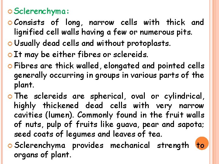  Sclerenchyma: Consists of long, narrow cells with thick and lignified cell walls having