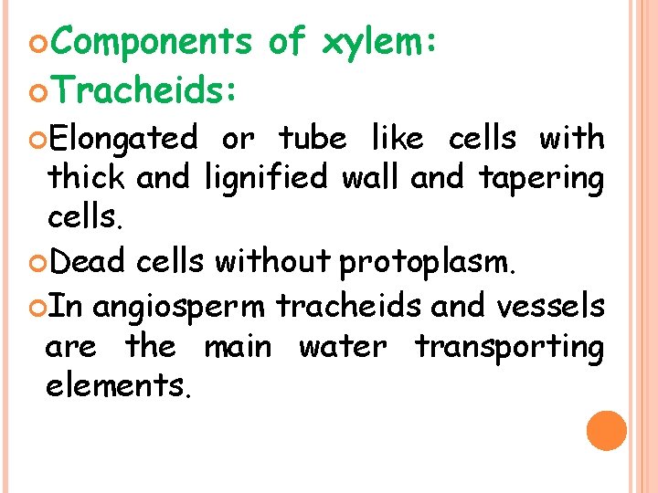  Components Tracheids: Elongated of xylem: or tube like cells with thick and lignified