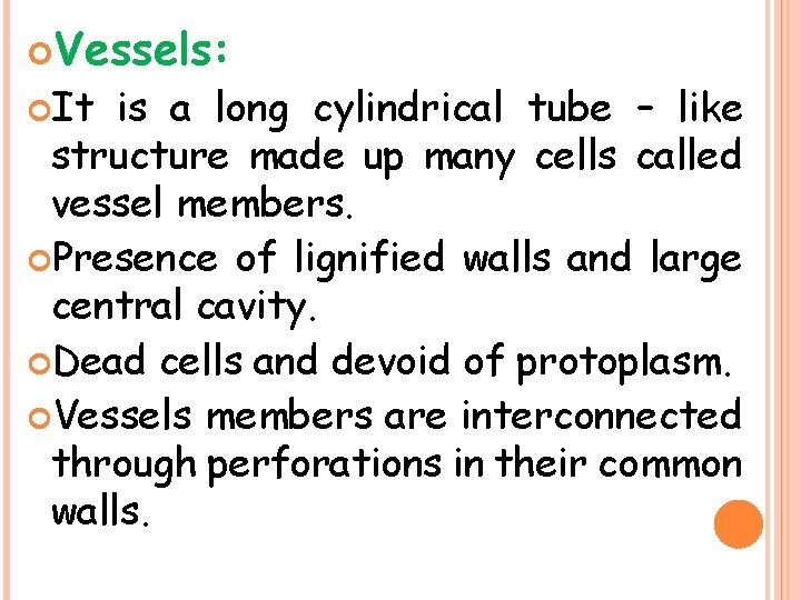  Vessels: It is a long cylindrical tube – like structure made up many