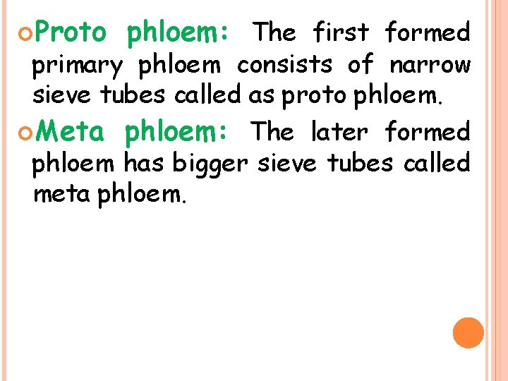  Proto phloem: The first formed primary phloem consists of narrow sieve tubes called