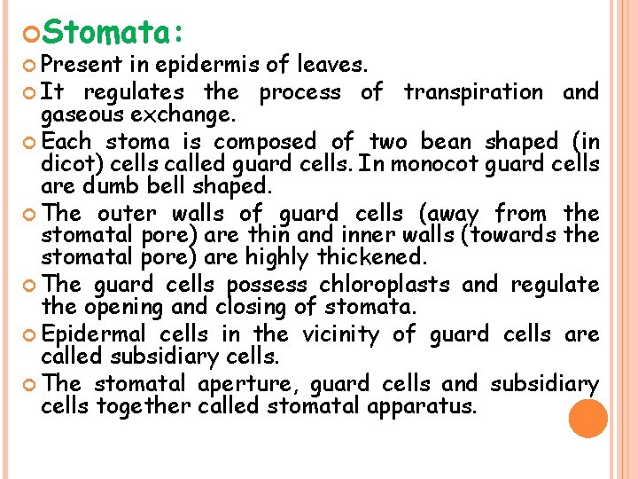  Stomata: Present in epidermis of leaves. It regulates the process of transpiration and