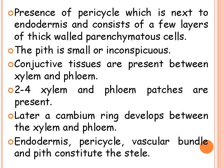  Presence of pericycle which is next to endodermis and consists of a few
