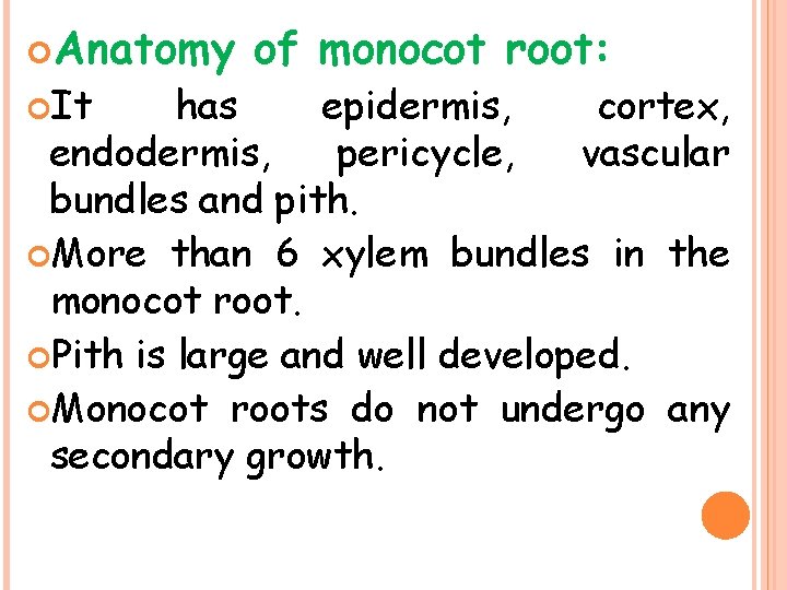  Anatomy It of monocot root: has epidermis, cortex, endodermis, pericycle, vascular bundles and