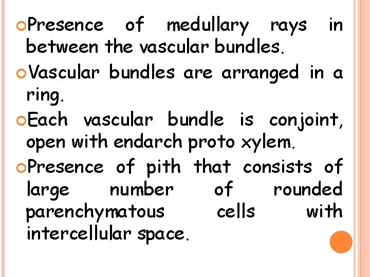  Presence of medullary rays in between the vascular bundles. Vascular bundles are arranged