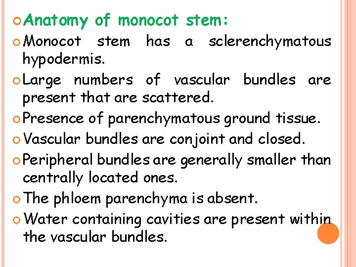  Anatomy Monocot of monocot stem: stem has a sclerenchymatous hypodermis. Large numbers of