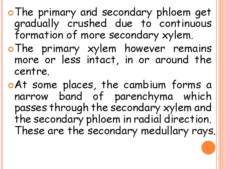  The primary and secondary phloem get gradually crushed due to continuous formation of
