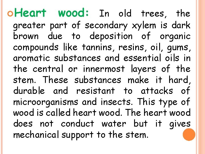 Heart wood: In old trees, the greater part of secondary xylem is dark