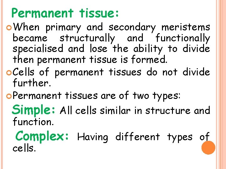 Permanent tissue: When primary and secondary meristems became structurally and functionally specialised and lose