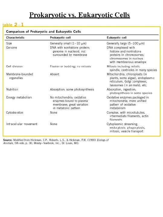 Prokaryotic vs. Eukaryotic Cells 