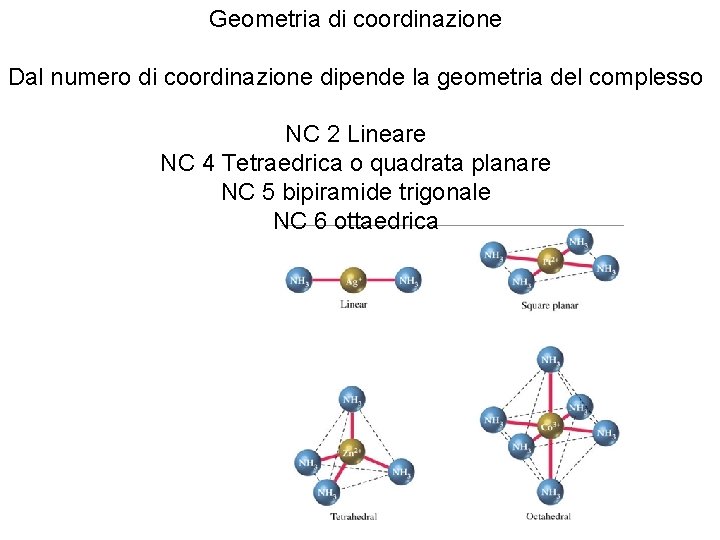 Geometria di coordinazione Dal numero di coordinazione dipende la geometria del complesso NC 2