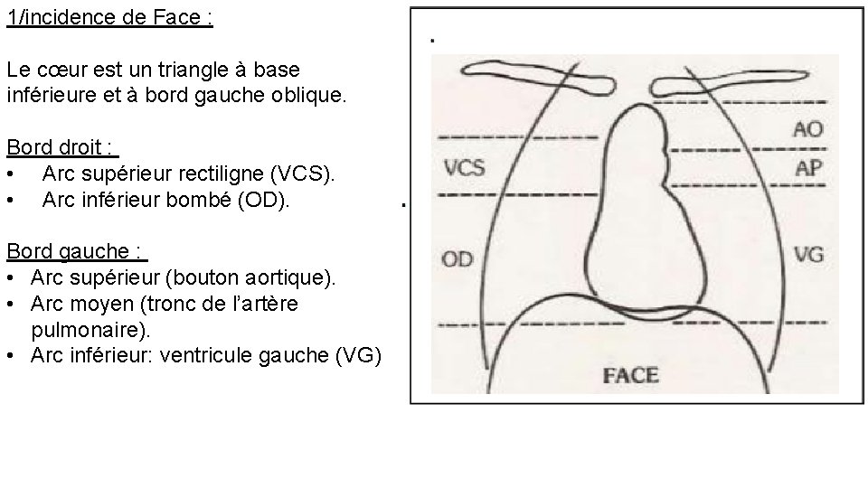 1/incidence de Face : Le cœur est un triangle à base inférieure et à