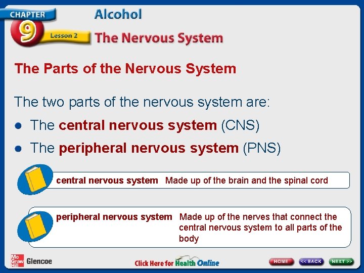 The Parts of the Nervous System The two parts of the nervous system are: