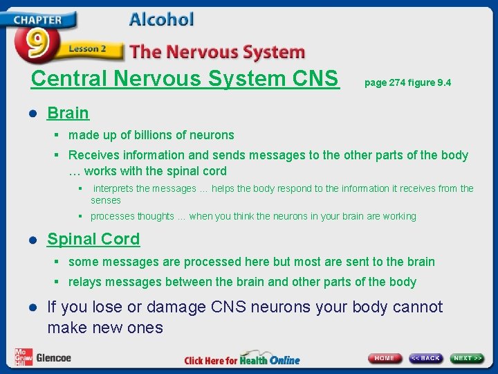 Central Nervous System CNS page 274 figure 9. 4 Brain § made up of