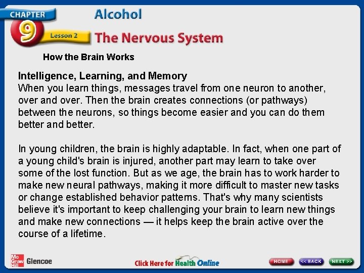 How the Brain Works Intelligence, Learning, and Memory When you learn things, messages travel