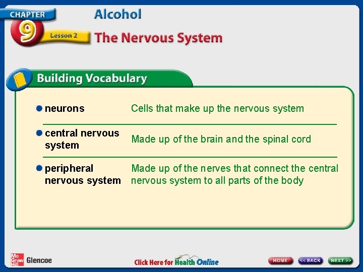 neurons Cells that make up the nervous system central nervous system Made up of