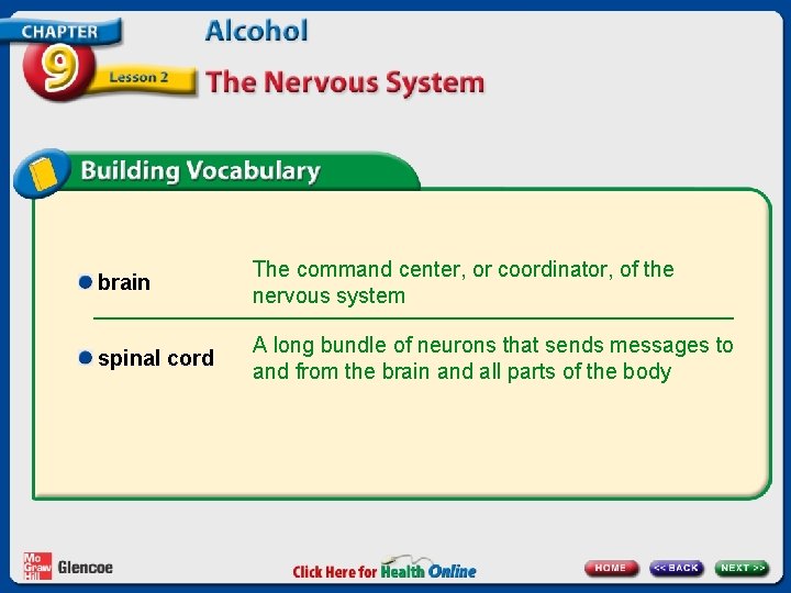 brain The command center, or coordinator, of the nervous system spinal cord A long