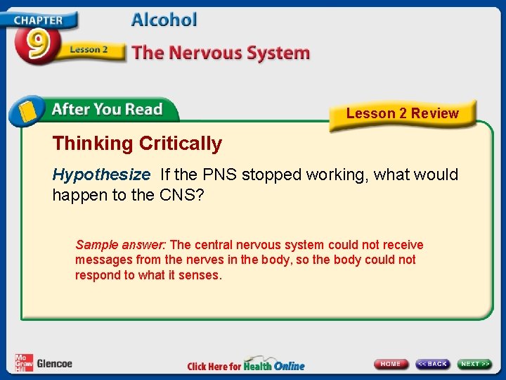 Lesson 2 Review Thinking Critically Hypothesize If the PNS stopped working, what would happen