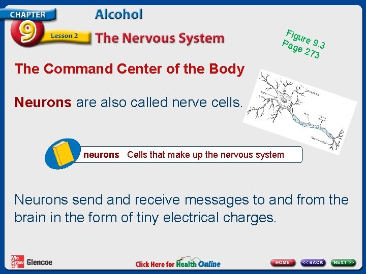 Figu Pag re 9. 3 e 27 3 The Command Center of the Body