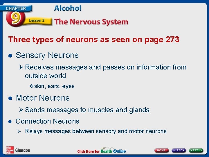 Three types of neurons as seen on page 273 Sensory Neurons Ø Receives messages