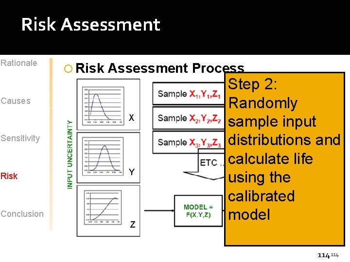 Risk Assessment Rationale Risk Assessment Process Causes X Sensitivity Risk Y Conclusion Z Step