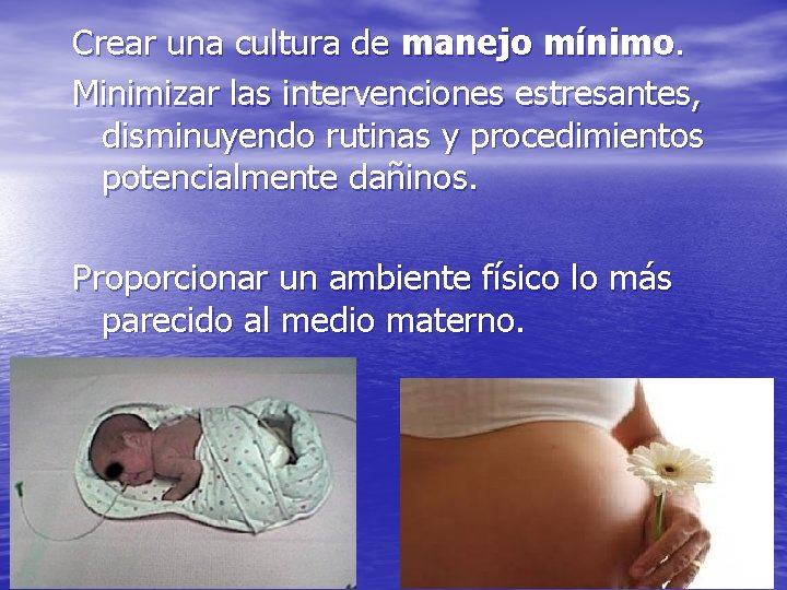 Crear una cultura de manejo mínimo. Minimizar las intervenciones estresantes, disminuyendo rutinas y procedimientos