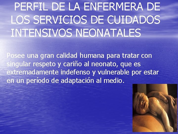  PERFIL DE LA ENFERMERA DE LOS SERVICIOS DE CUIDADOS INTENSIVOS NEONATALES Posee una