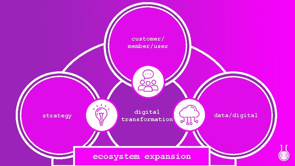 customer/ member/user strategy digital transformation ecosystem expansion data/digital 