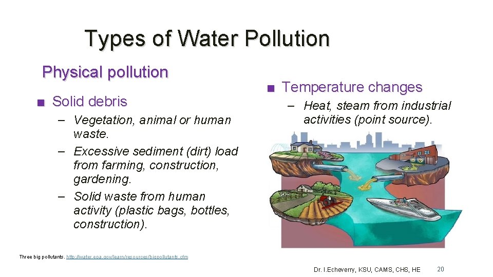 Types of Water Pollution Physical pollution ■ Solid debris – Vegetation, animal or human Types of Water Pollution Physical pollution ■ Solid debris – Vegetation, animal or human