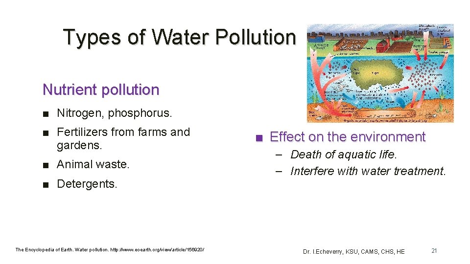 Types of Water Pollution Nutrient pollution ■ Nitrogen, phosphorus. ■ Fertilizers from farms and