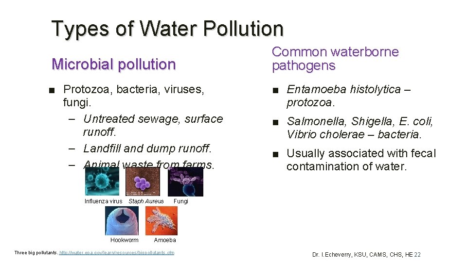 Types of Water Pollution Microbial pollution ■ Protozoa, bacteria, viruses, fungi. – Untreated sewage,