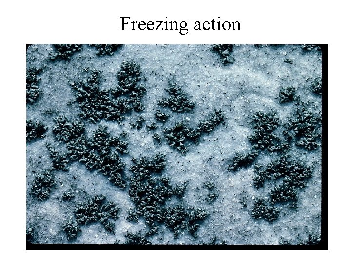 Freezing action 