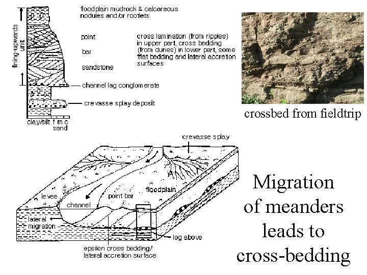 crossbed from fieldtrip Migration of meanders leads to cross-bedding 