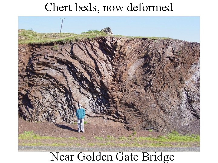 Chert beds, now deformed Near Golden Gate Bridge 