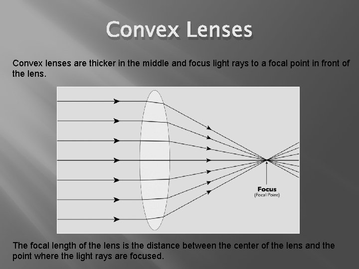 Convex Lenses Convex lenses are thicker in the middle and focus light rays to