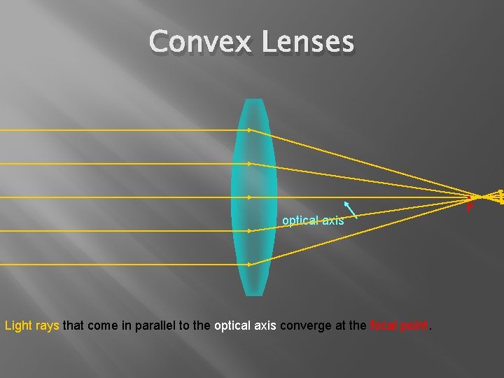 Convex Lenses optical axis Light rays that come in parallel to the optical axis