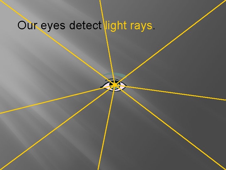 Our eyes detect light rays. 