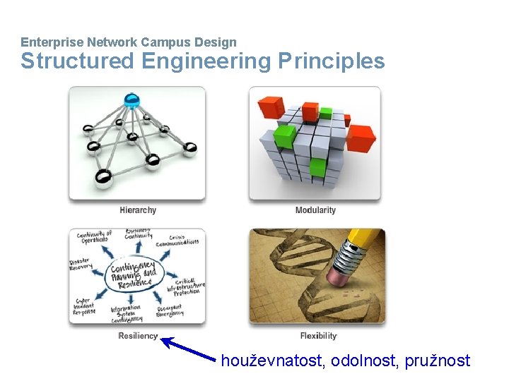 Enterprise Network Campus Design Structured Engineering Principles houževnatost, odolnost, pružnost 