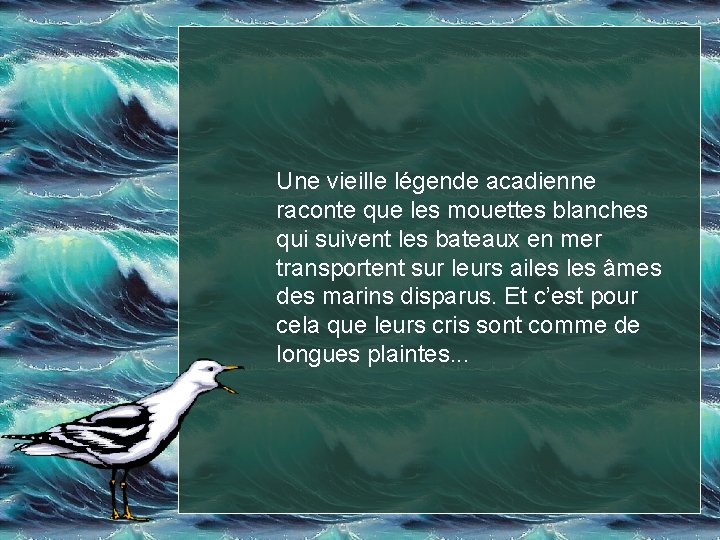 Une vieille légende acadienne raconte que les mouettes blanches qui suivent les bateaux en