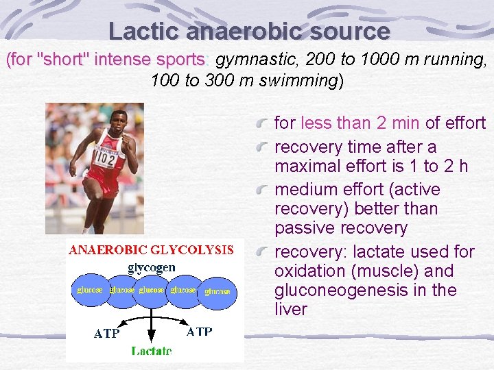 Lactic anaerobic source (for "short" intense sports: gymnastic, 200 to 1000 m running, 100