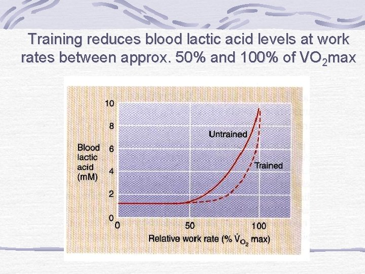 Training reduces blood lactic acid levels at work rates between approx. 50% and 100%