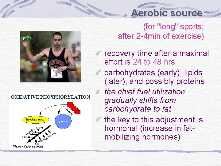 Aerobic source (for "long" sports; after 2 -4 min of exercise) recovery time after