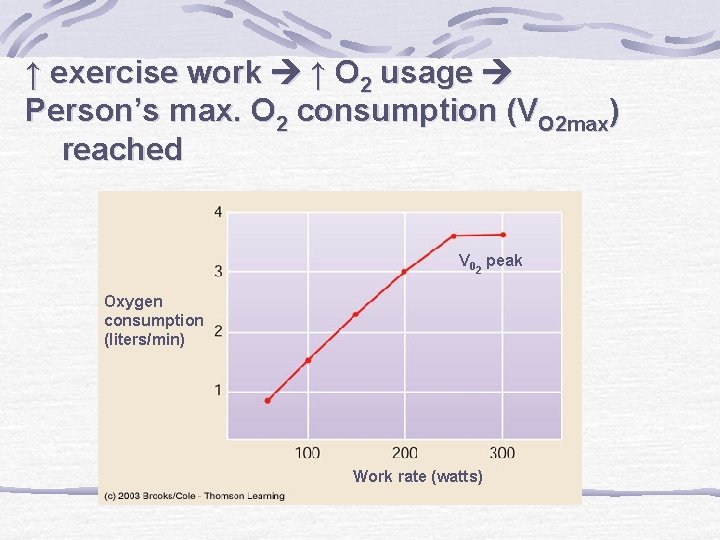 ↑ exercise work ↑ O 2 usage Person’s max. O 2 consumption (VO 2